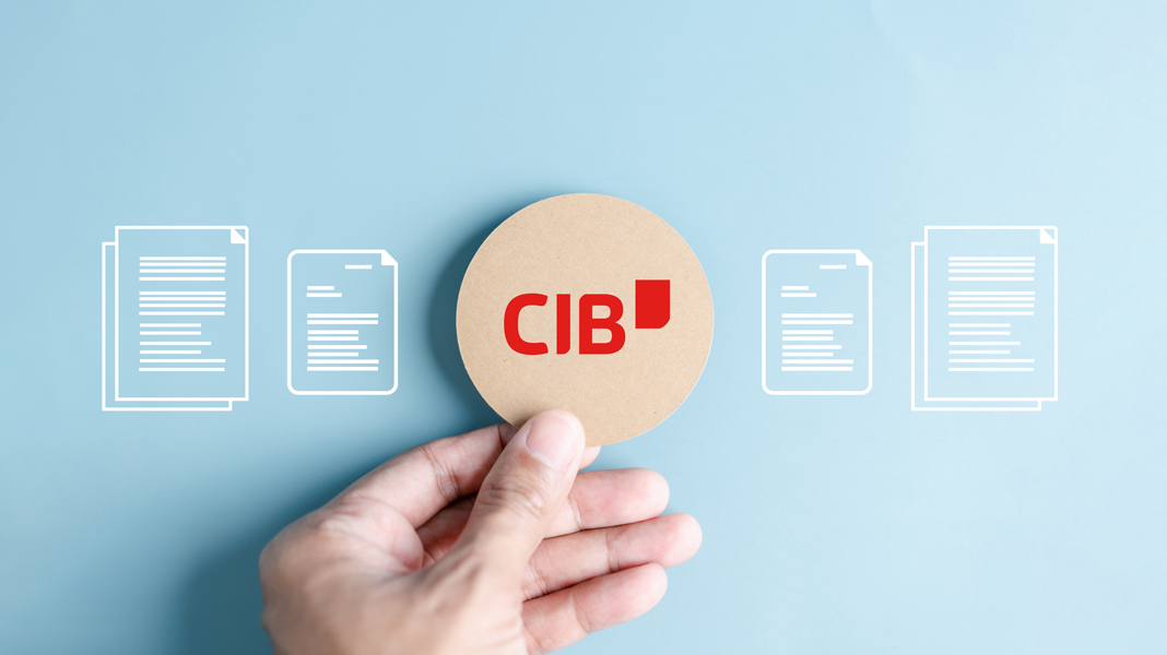 CIB-choose CIB-choose